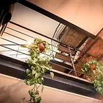 Loft Tabaccaia 13 *